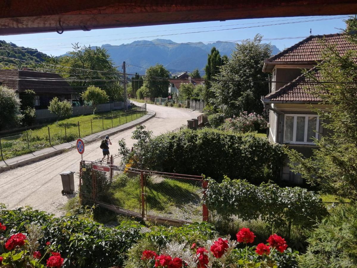 Vila Ovi Hotel Bran  Exterior foto
